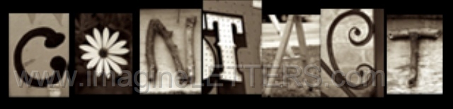 Wall_Art_Alphabet_Photography_Art_ 210.jpg